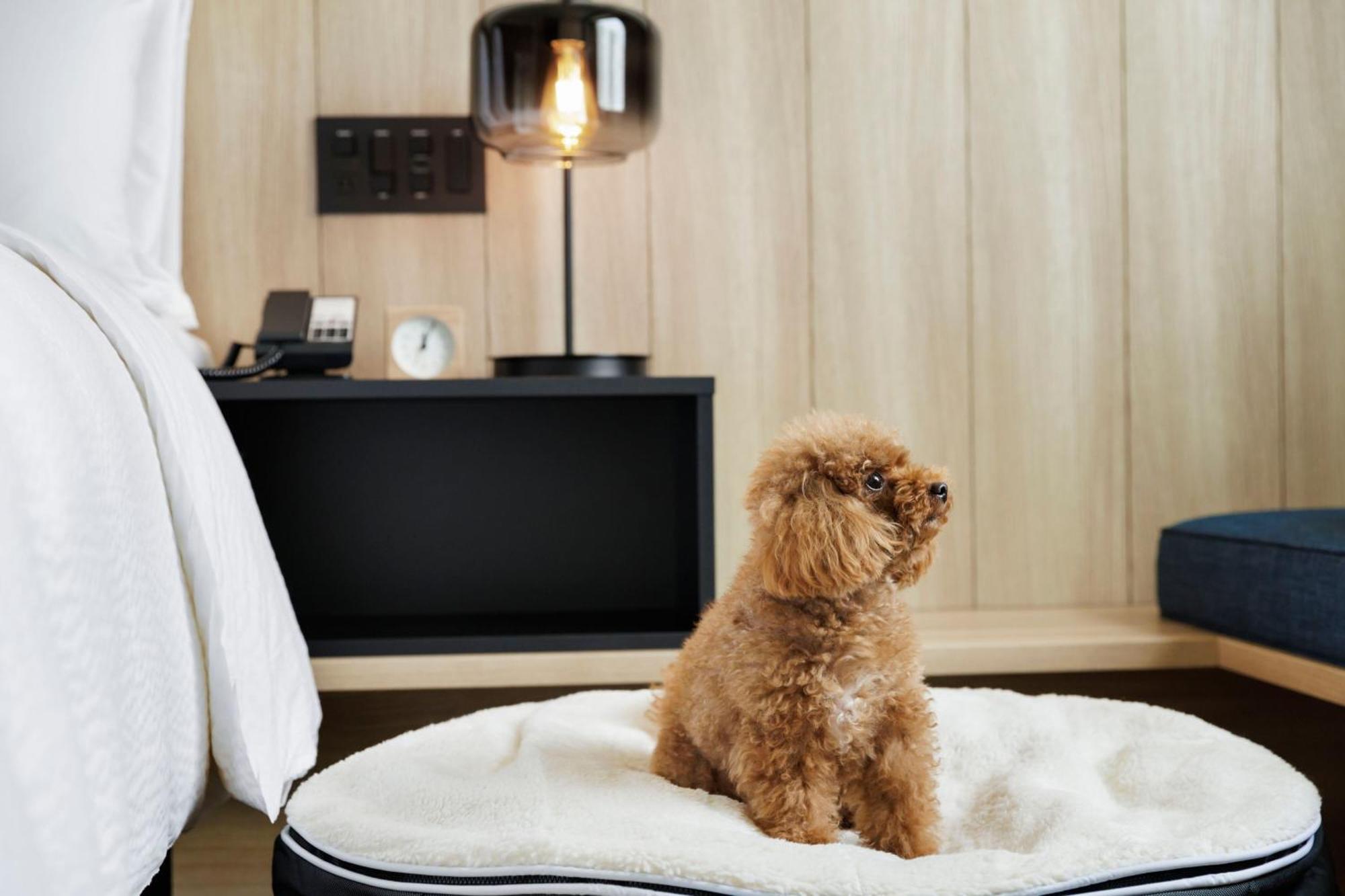 Отель Fairfield By Marriott Kyoto Kyotamba Nantan Экстерьер фото